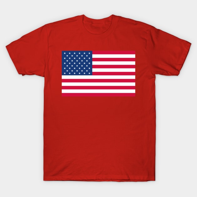 American Flag Tshirt designers T-Shirt by Therain3401